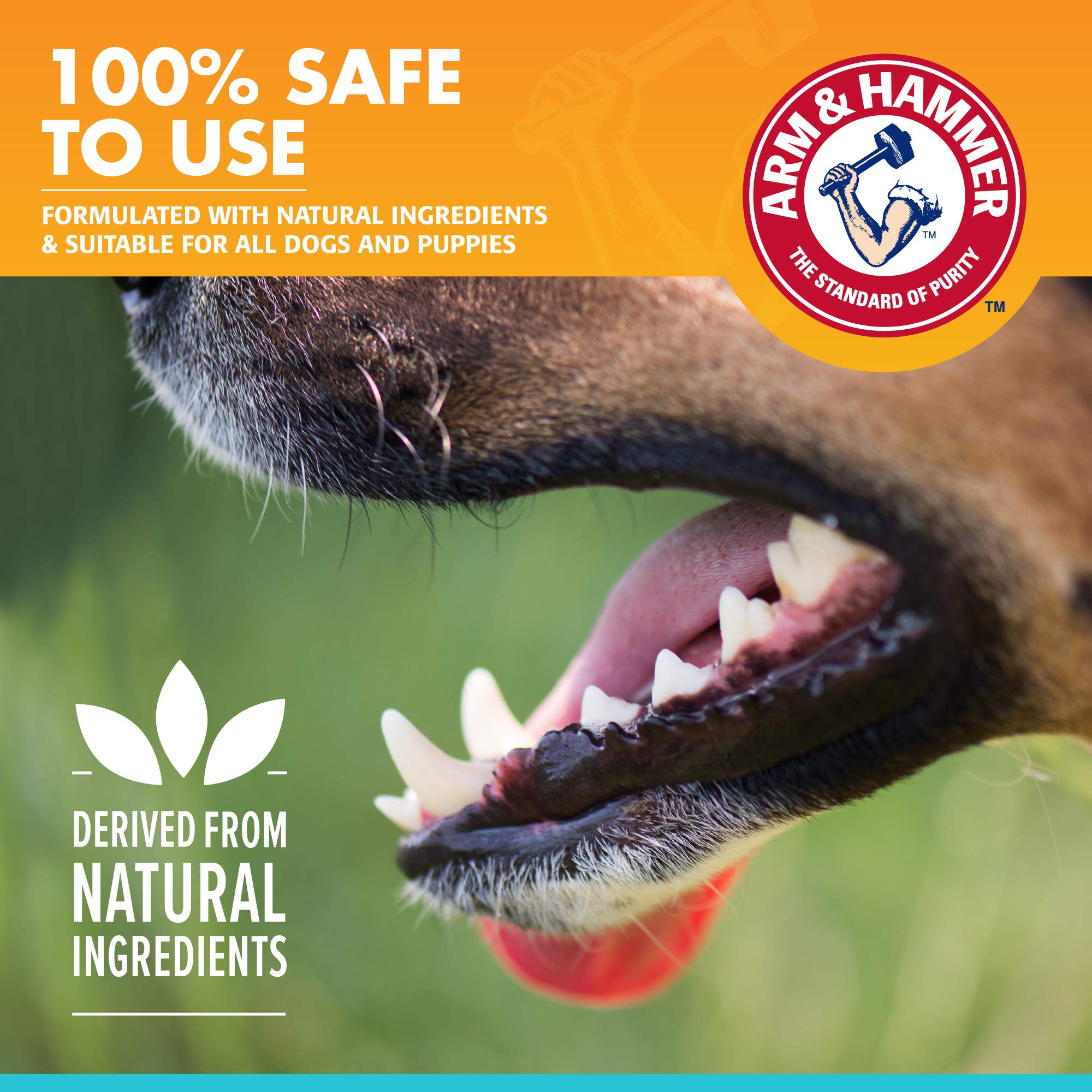 Arm & Hammer Pets dog oral spray on kitchen counter for daily use.