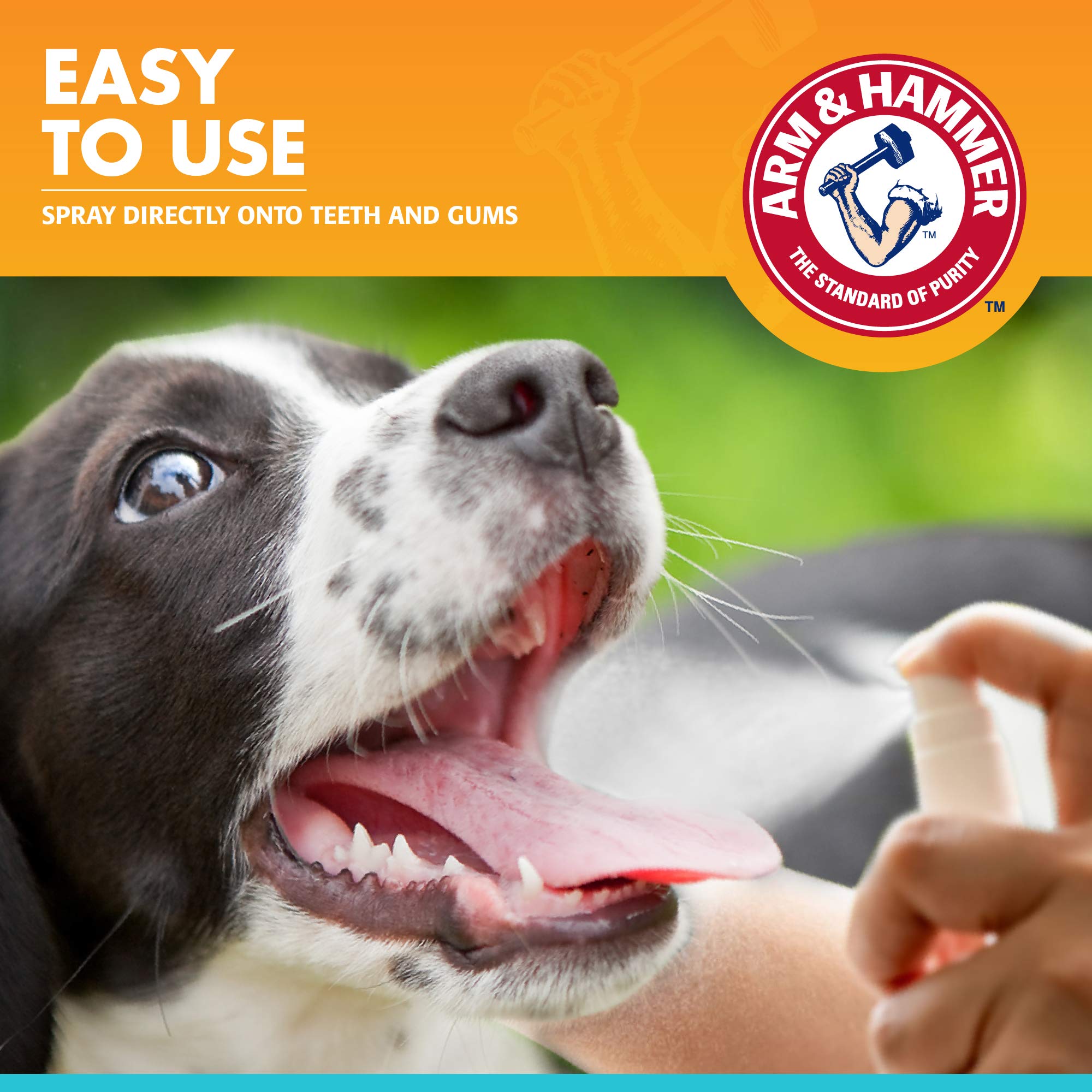 Arm & Hammer Pets dog oral spray mint flavor for easier acceptance.