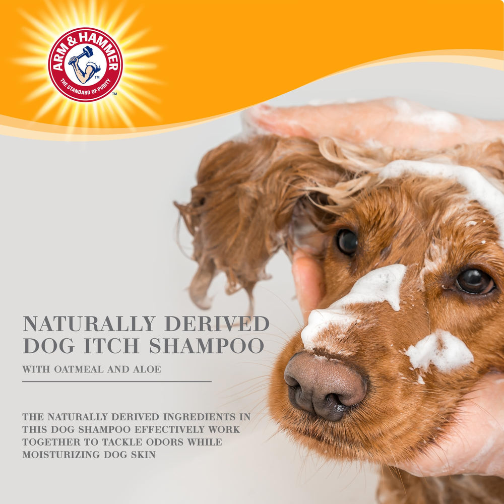 Lather from Arm & Hammer shampoo spreads through the dog's coat during bath