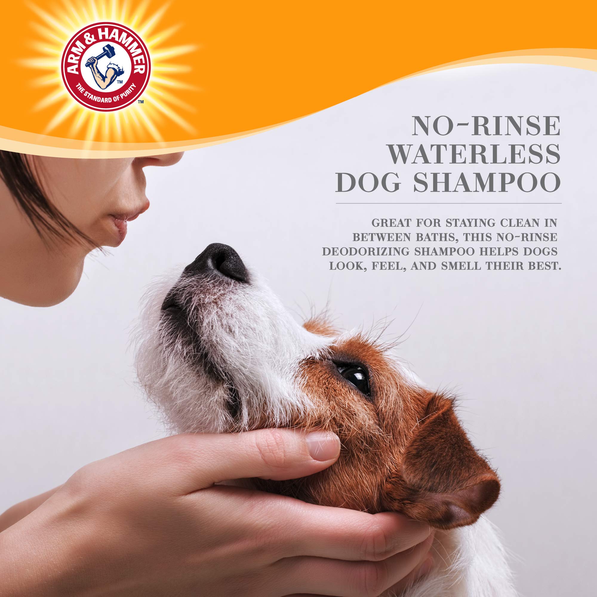 Arm and Hammer Ultra Fresh waterless dog shampoo foam being applied to the dog's coat for quick refreshment.