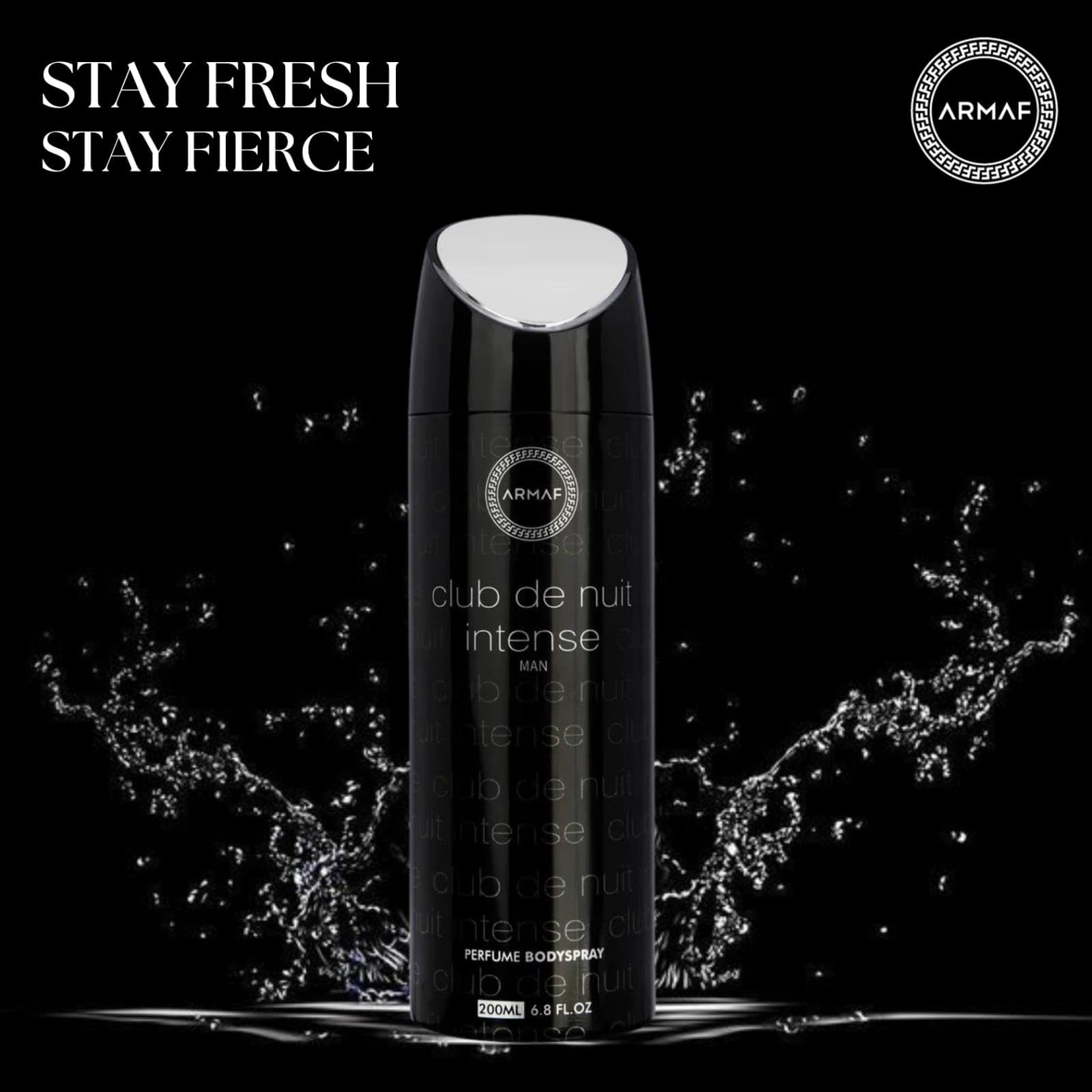 Armaf Club De Nuit Intense notes map highlights its woody and spicy profile.