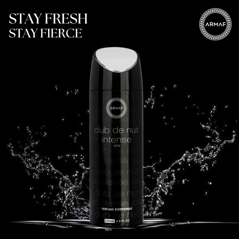 Armaf Club De Nuit Intense notes map highlights its woody and spicy profile.