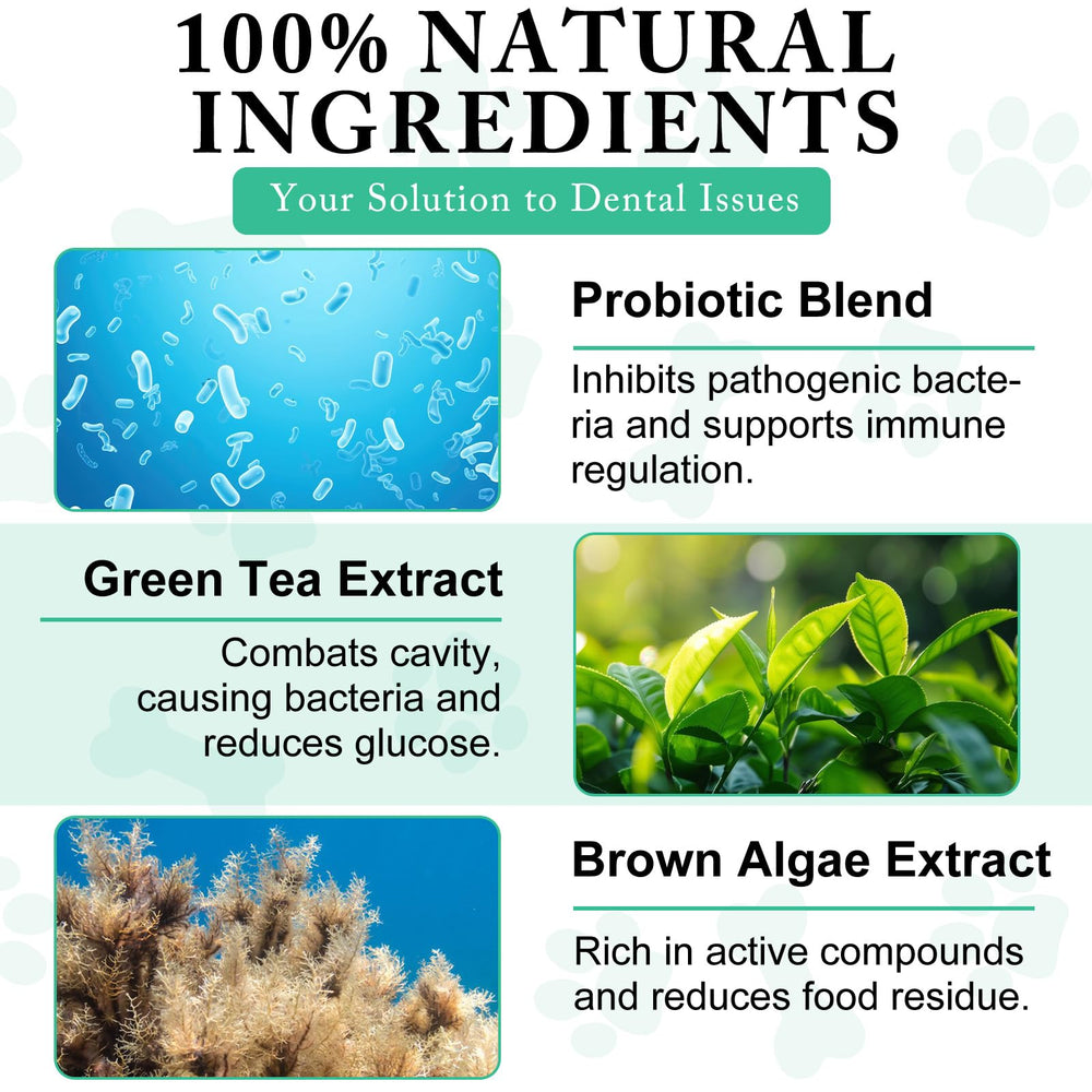 Close-up of ARMOYA probiotic blend label on the powder container