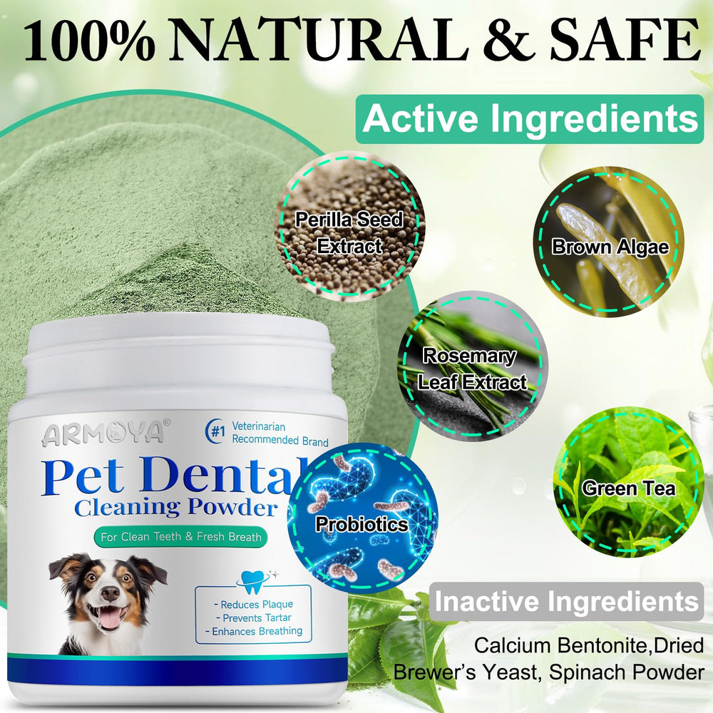 ARMOYA powder tub with scoop ready for daily dosing on the kitchen counter