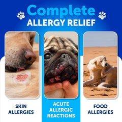 Artullano Dog Allergy Relief Chews treats close-up shows soft texture for easy chewing