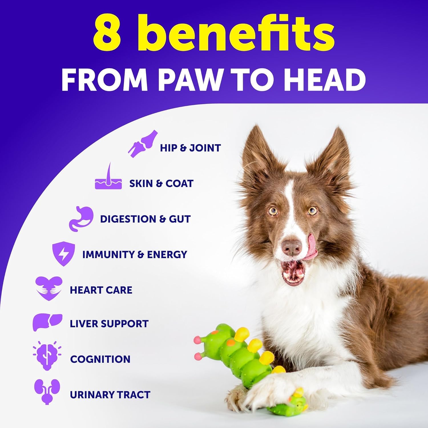 Artullano 26-in-1 chews promote healthy skin and a shiny coat.