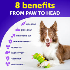 Artullano 26-in-1 chews promote healthy skin and a shiny coat.