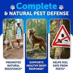 Artullano chews during outdoor time—clean, convenient protection you can trust.