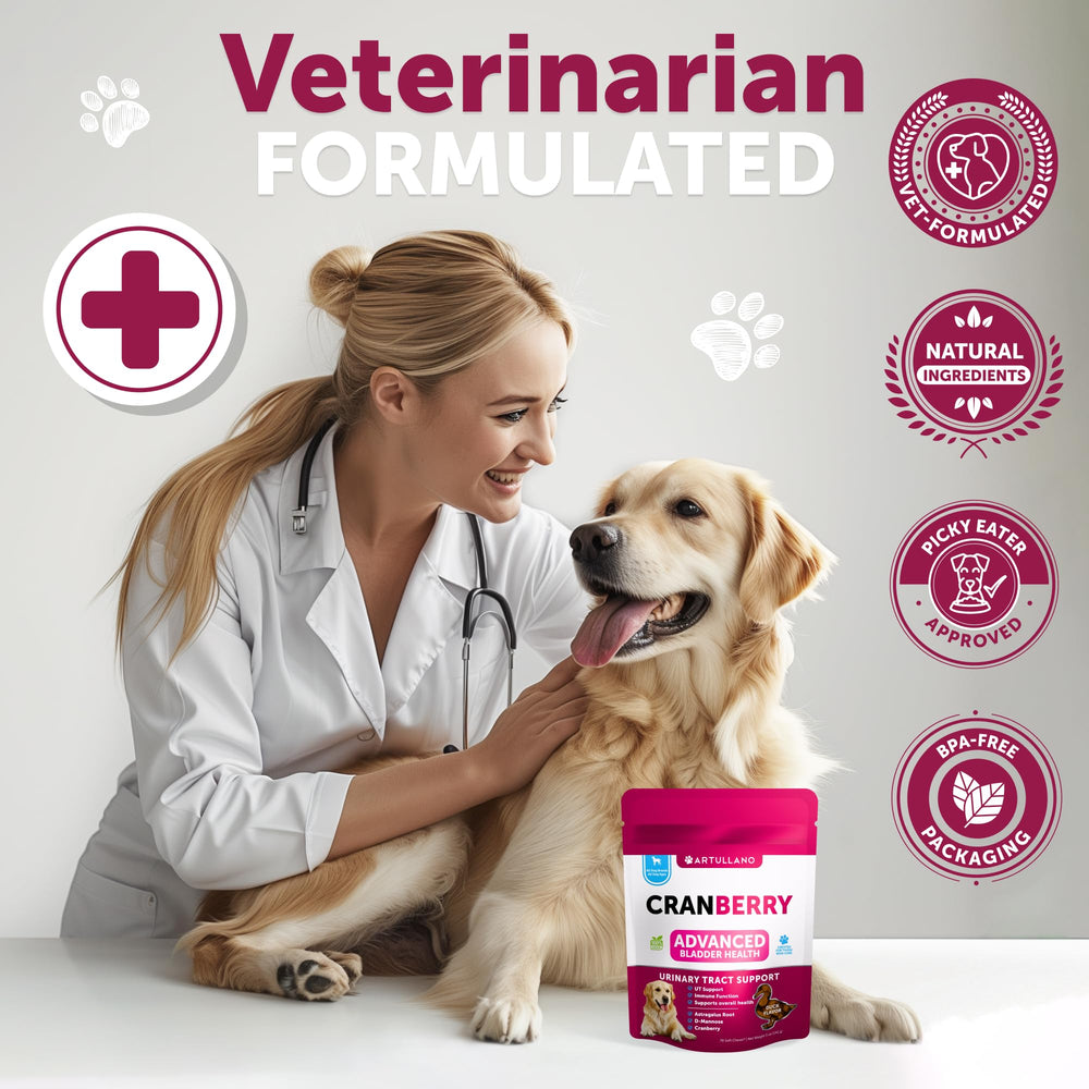 Artullano Cranberry bladder chews for daily use and urinary comfort.