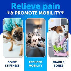 Artullano dog in motion—supports an active lifestyle and joint comfort.
