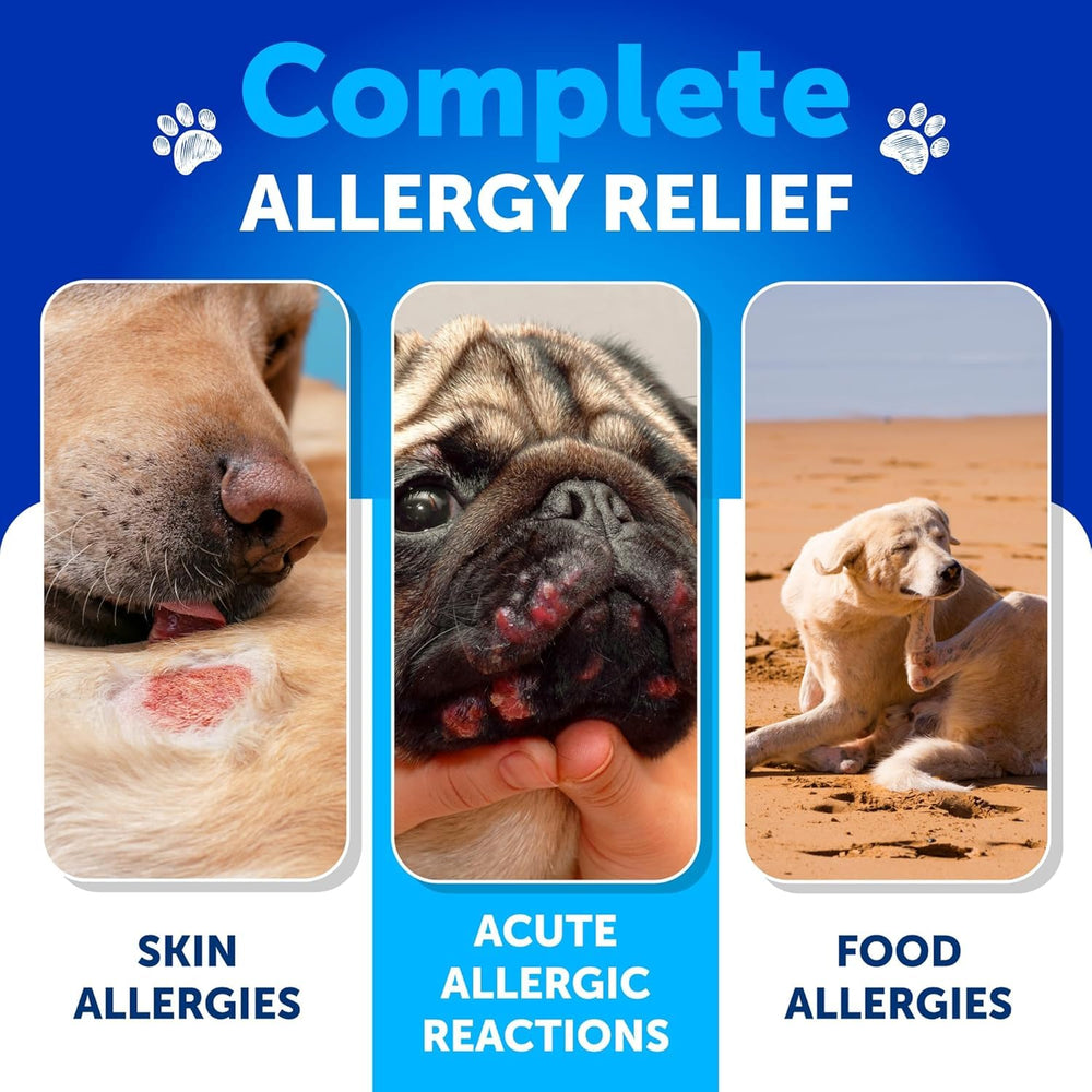 Artullano soft chews for dogs, easy to feed and digestion-friendly.