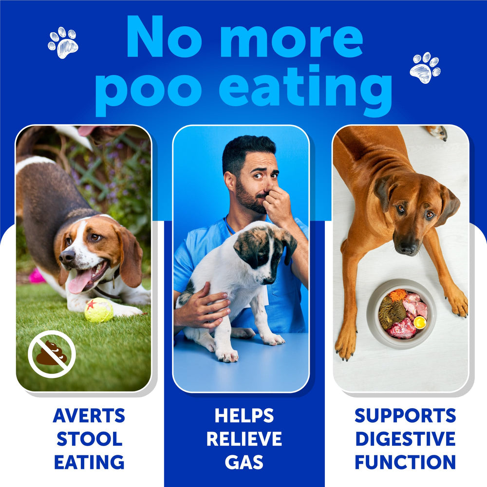 Artullano No Poo Chews close-up reveals texture and probiotic formula supporting digestion.