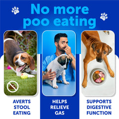 Artullano No Poo Chews close-up reveals texture and probiotic formula supporting digestion.