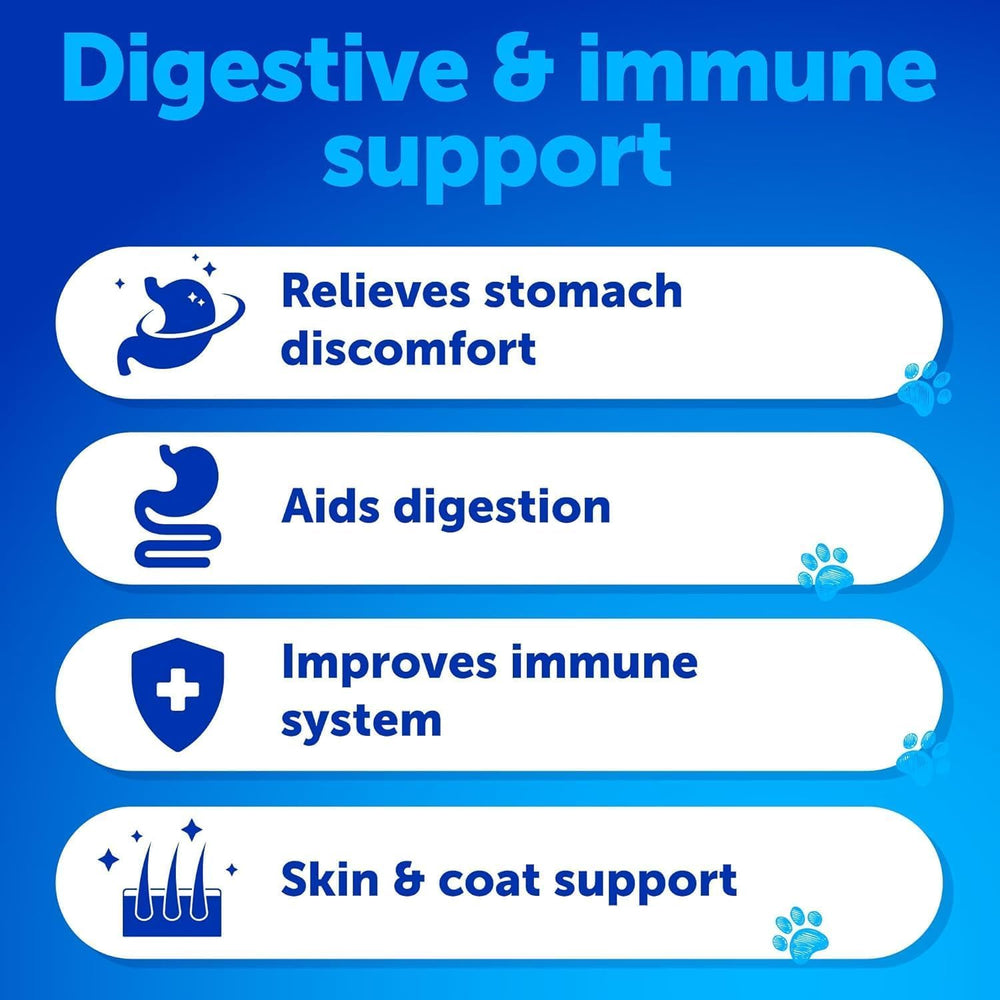 Artullano Probiotics for Dogs illustration showing digestive balance and gut health.