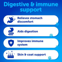 Artullano Probiotics for Dogs illustration showing digestive balance and gut health.