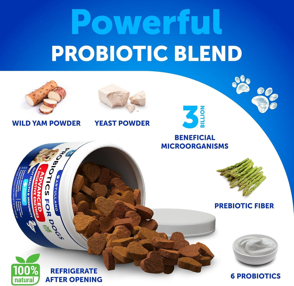 Artullano Probiotics for Dogs bottle highlighting immune support and overall wellness.