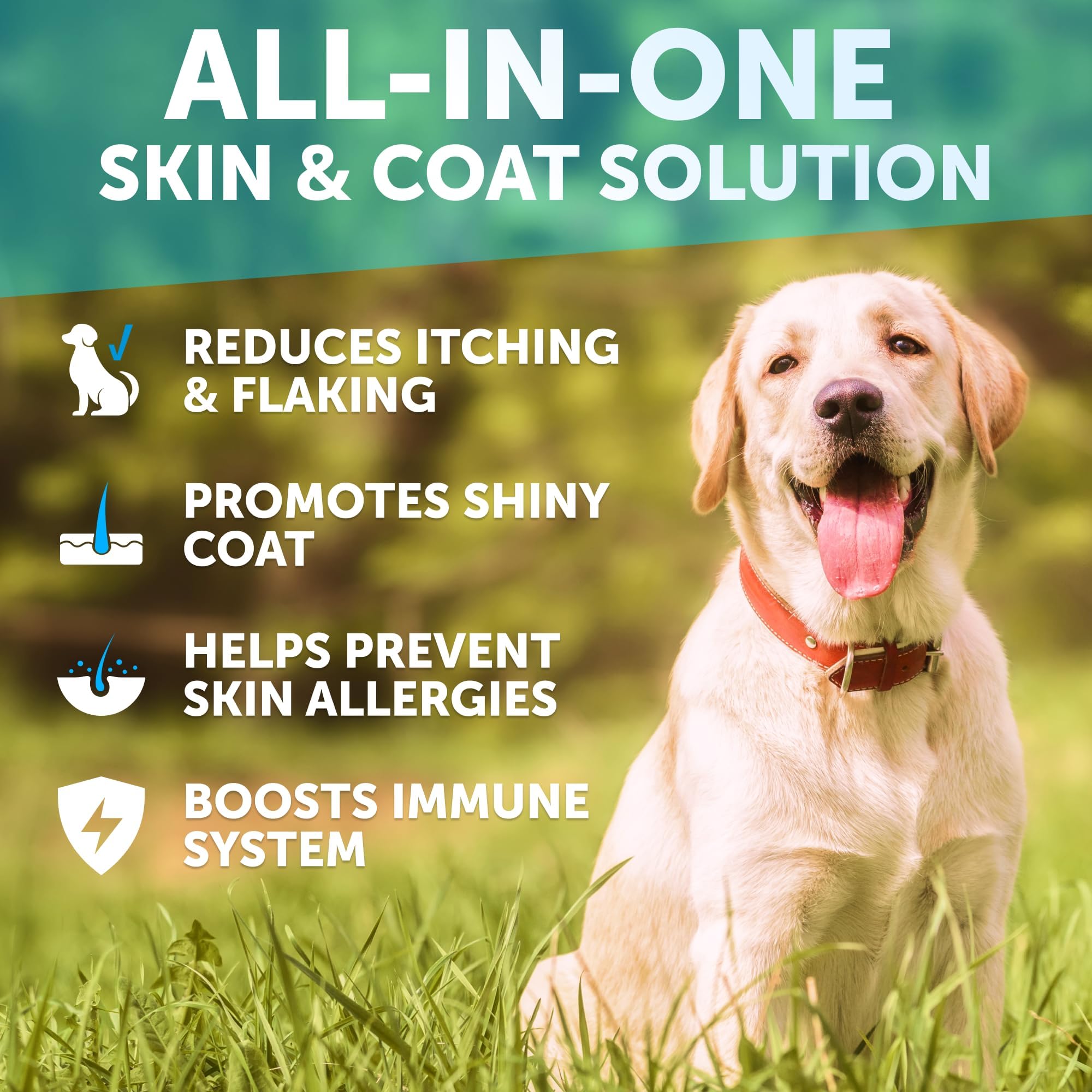 Artullano salmon oil bottle highlighting EPA and DHA for a healthier coat.