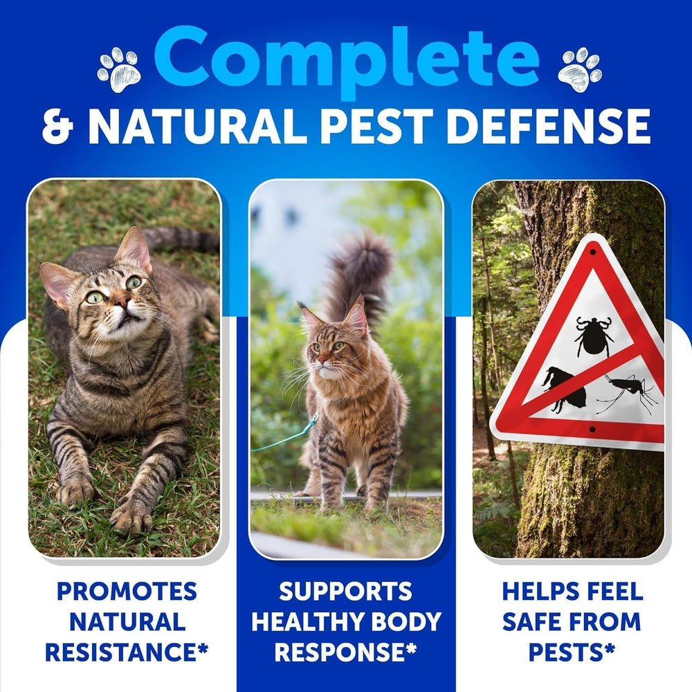 Artullano vitamins with Brewer's Yeast support skin and immune health.