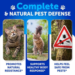 Artullano vitamins with Brewer's Yeast support skin and immune health.