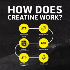 Ascent Clean Creatine Monohydrate in water demonstrates quick mixability and smooth texture.