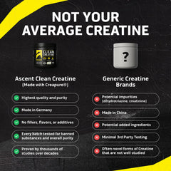 Ascent Clean Creatine Monohydrate lab-label highlights purity and testing integrity.