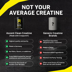 Ascent creatine powder scoop illustrates convenient daily dosing for training.