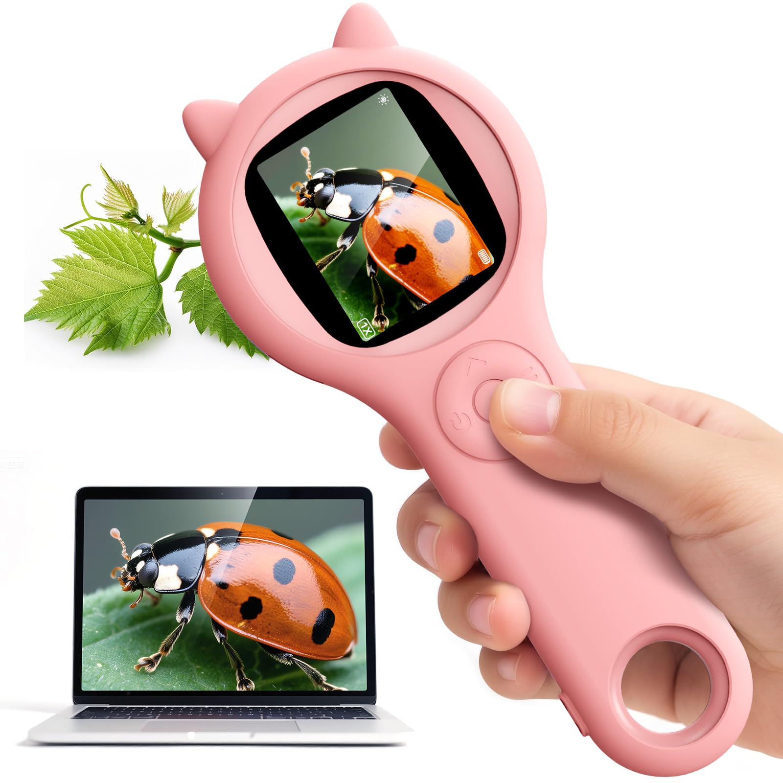 Ashfly 2-inch LCD display shows live microscopic images for kids