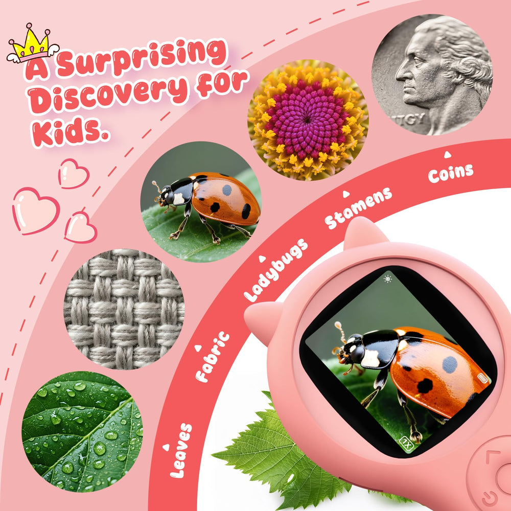 Ashfly circular aperture magnifier supports hands-on observation with adjustable lighting
