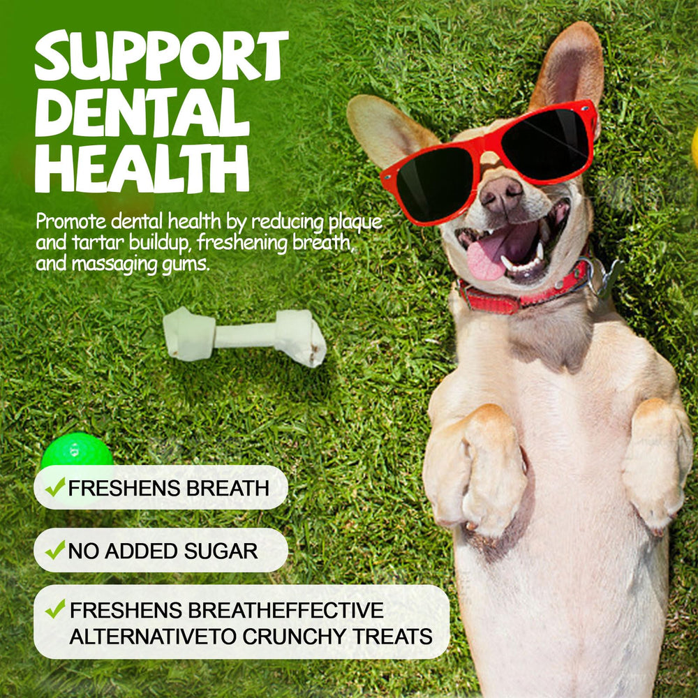 ASMPET jerky sans-os poulet-dindon-cod : option sûre pour chiens sensibles.