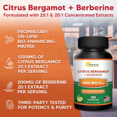 aSquared Nutrition Tri-Lipid matrix ingredients visual aiding absorption.