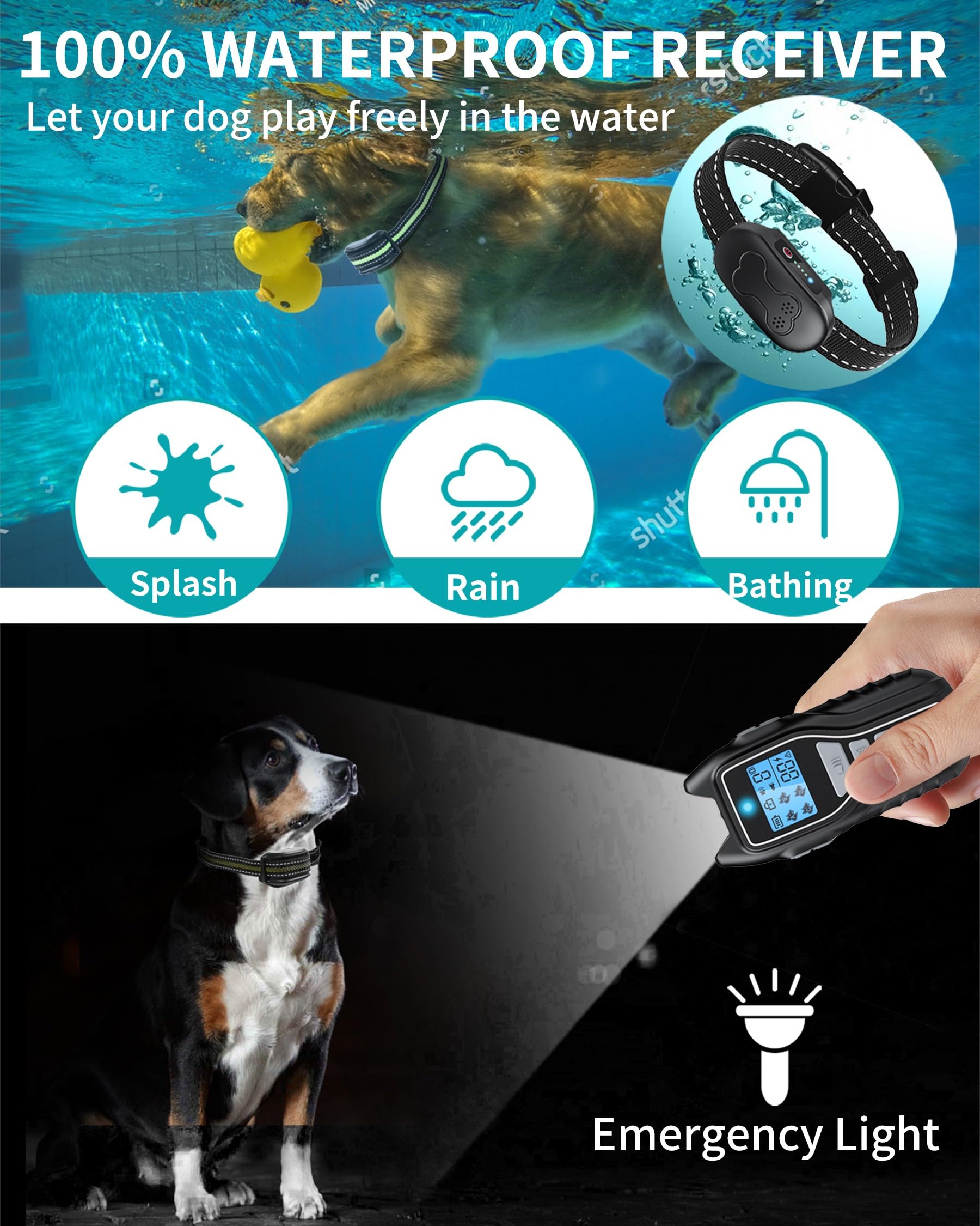 Asrcs durable collar with built-in flashlight for low-light training sessions.