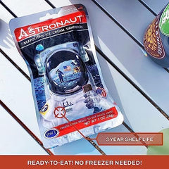 Astronaut Mint Chocolate Chip sandwich; vibrant flavor for space-themed parties and snacks.