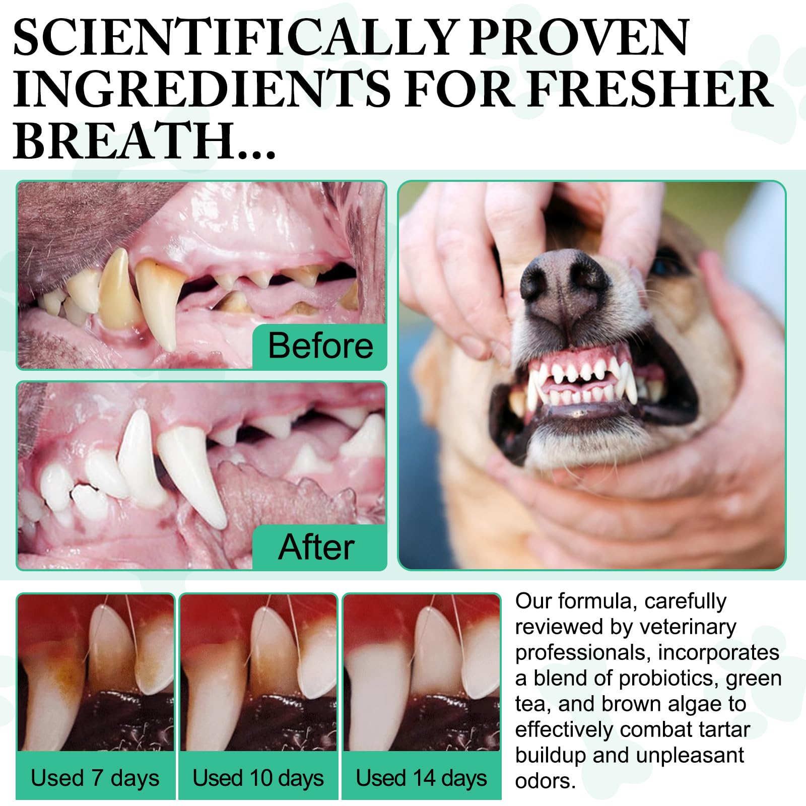 asusxcli dental powder packaging front view