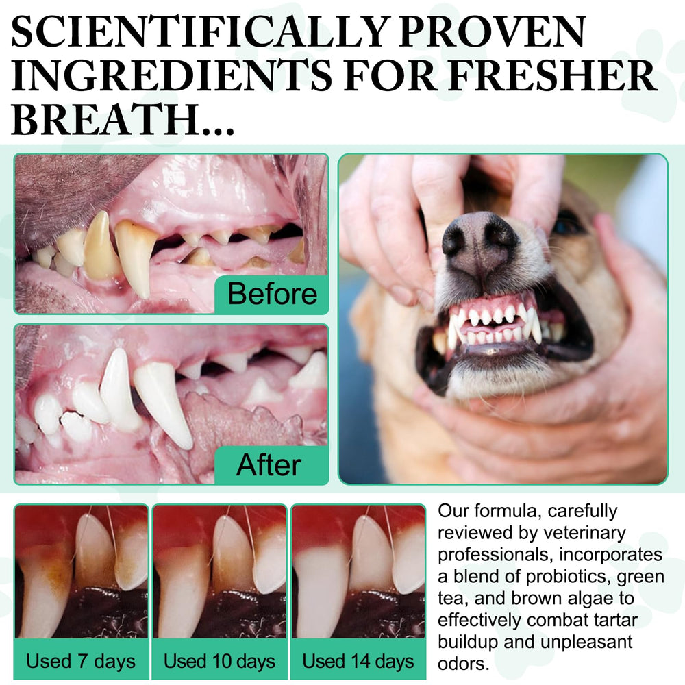 asusxcli dental powder packaging front view
