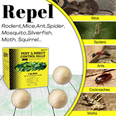 Atindirey cedarwood extract close-up highlighting plant-based pest deterrence.