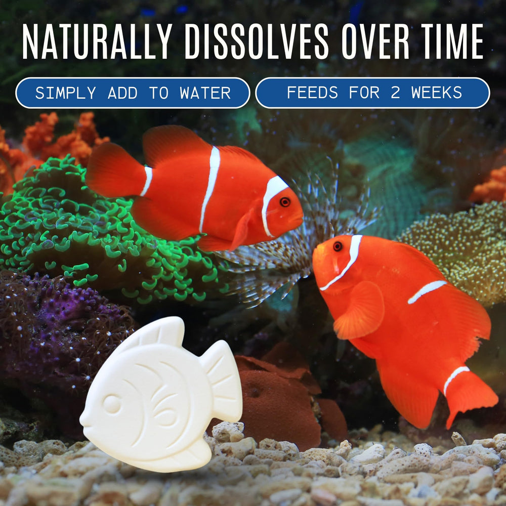 Atlantic Rush vacation feeder block fit for standard aquarium setups