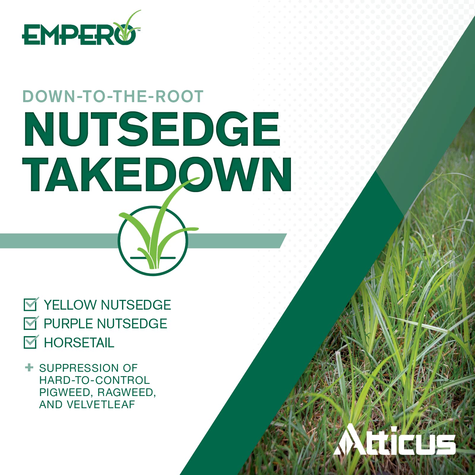 Atticus Empero application scoop shows simple, precise mixing for quick results.