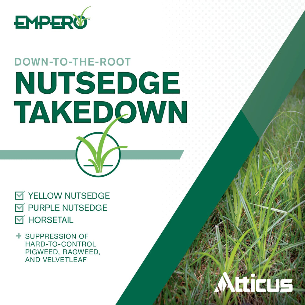 Atticus Empero application scoop shows simple, precise mixing for quick results.