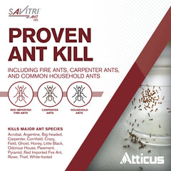 Atticus Savitri ant gel bait placed along an ant trail