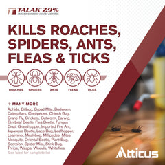 Atticus Talak indoor outdoor application areas demonstrate versatility