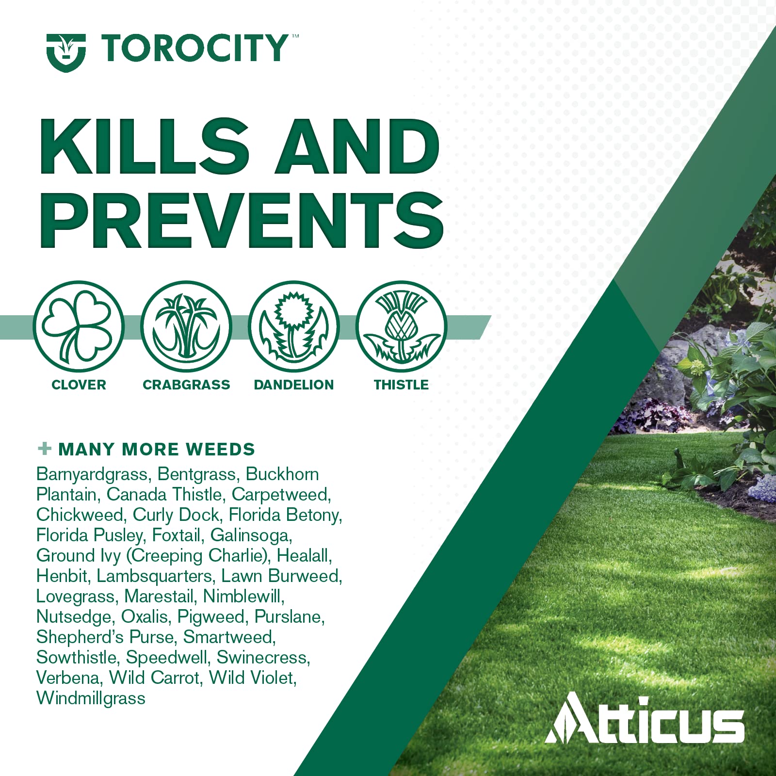 Atticus Torocity broad-spectrum weed control image for turf lawns