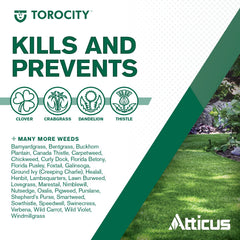 Atticus Torocity broad-spectrum weed control image for turf lawns