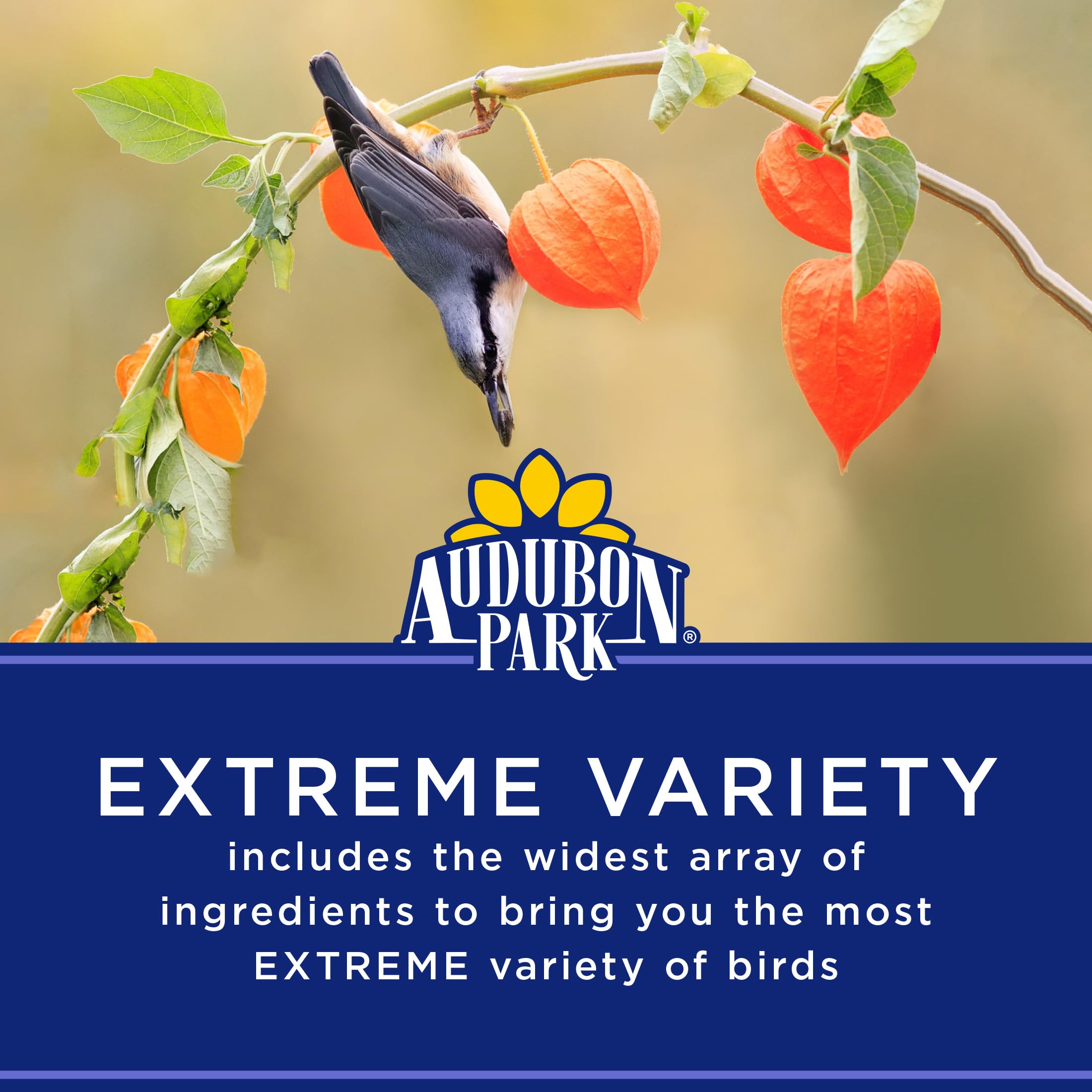 Audubon Park Extreme Variety Seed Tube Feeder setup ideal for year-round feeding