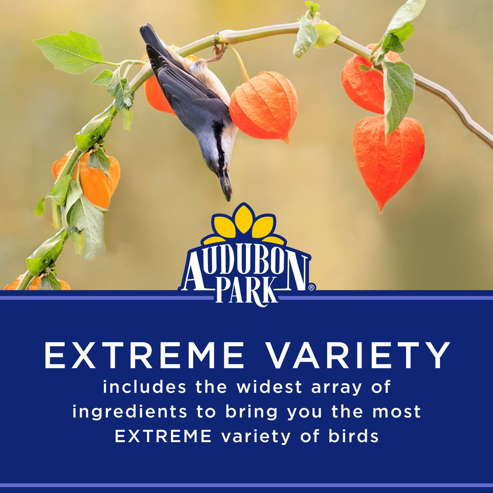 Audubon Park Extreme Variety Seed Tube Feeder setup ideal for year-round feeding