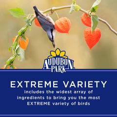 Audubon Park Extreme Variety Seed Tube Feeder setup ideal for year-round feeding