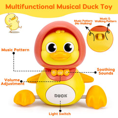 AugToy baby duck walks independently to encourage exploration.
