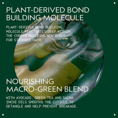 AVEDA Botanical Repair gift set box ideal for gifting hair care enthusiasts