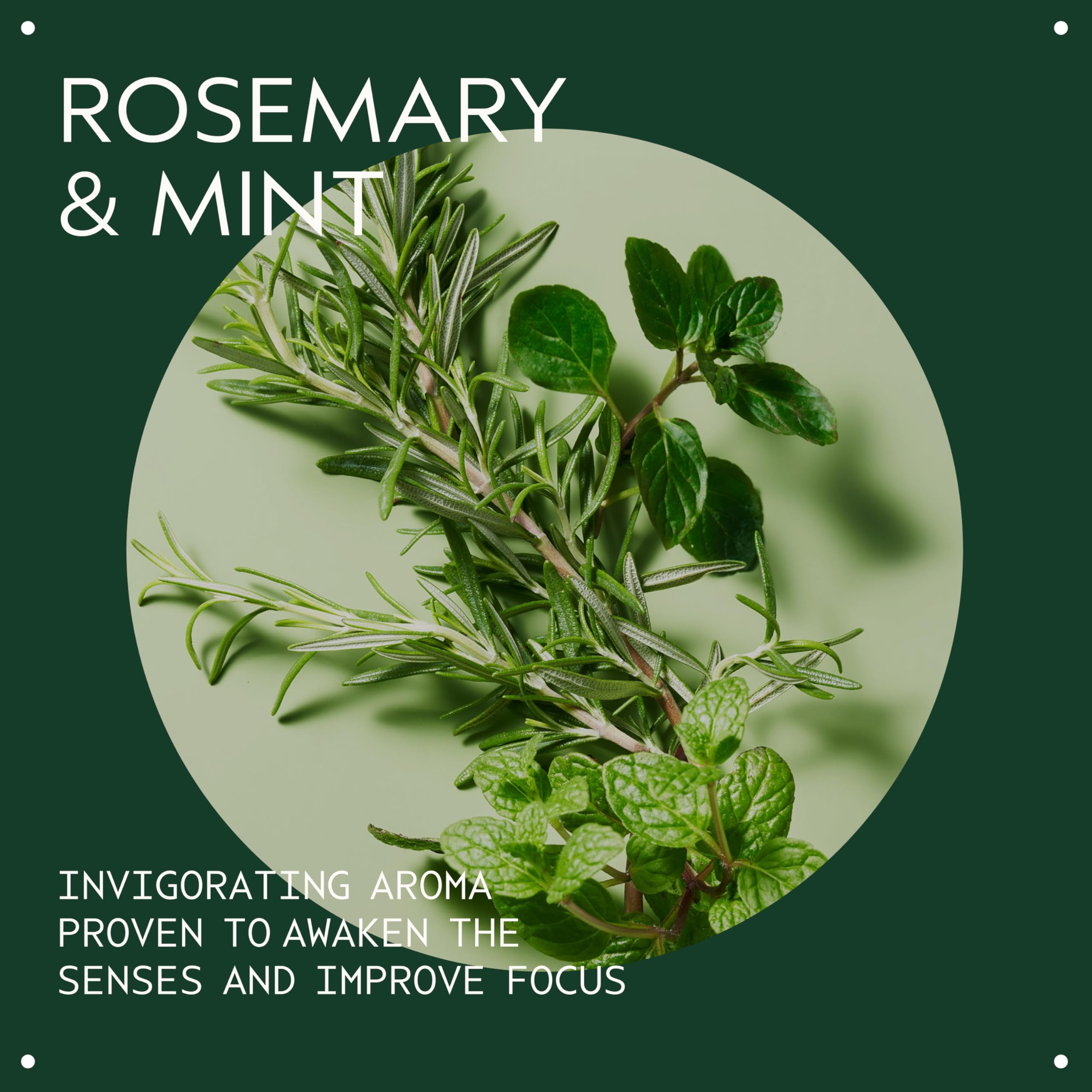 Aveda Rosemary Mint Purifying Shampoo lather visible during wash.