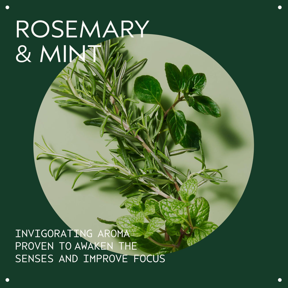 Aveda Rosemary Mint Purifying Shampoo lather visible during wash.