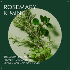 Aveda Rosemary Mint Purifying Shampoo lather visible during wash.